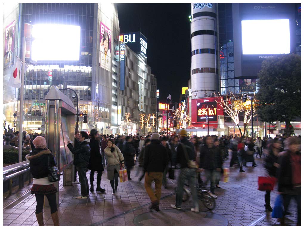 Tokyo, Japan: IMG_1130.jpg