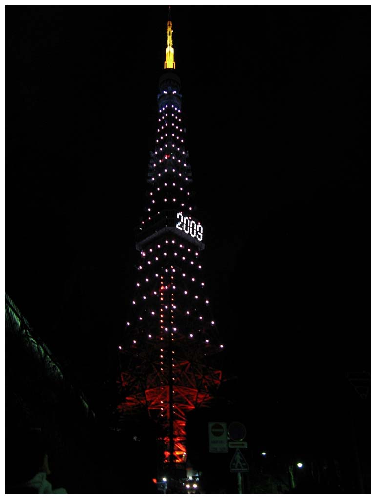 Tokyo, Japan: IMG_1322.jpg