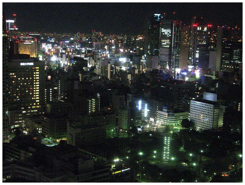 Tokyo, Japan: IMG_1326.jpg