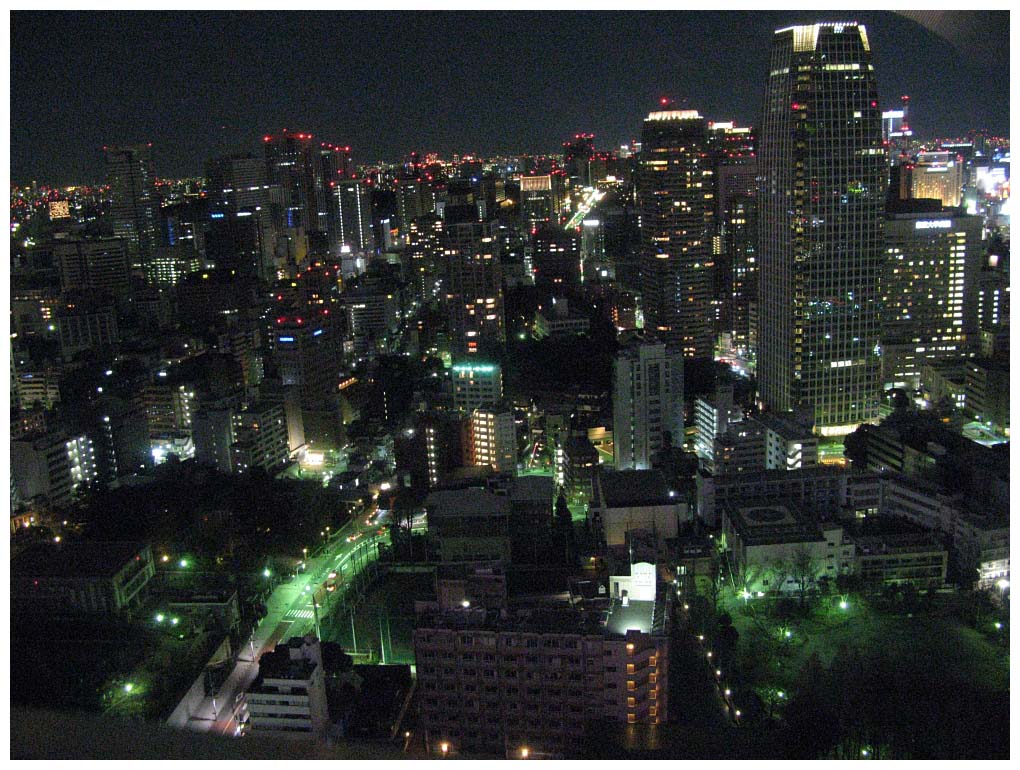 Tokyo, Japan: IMG_1329.jpg