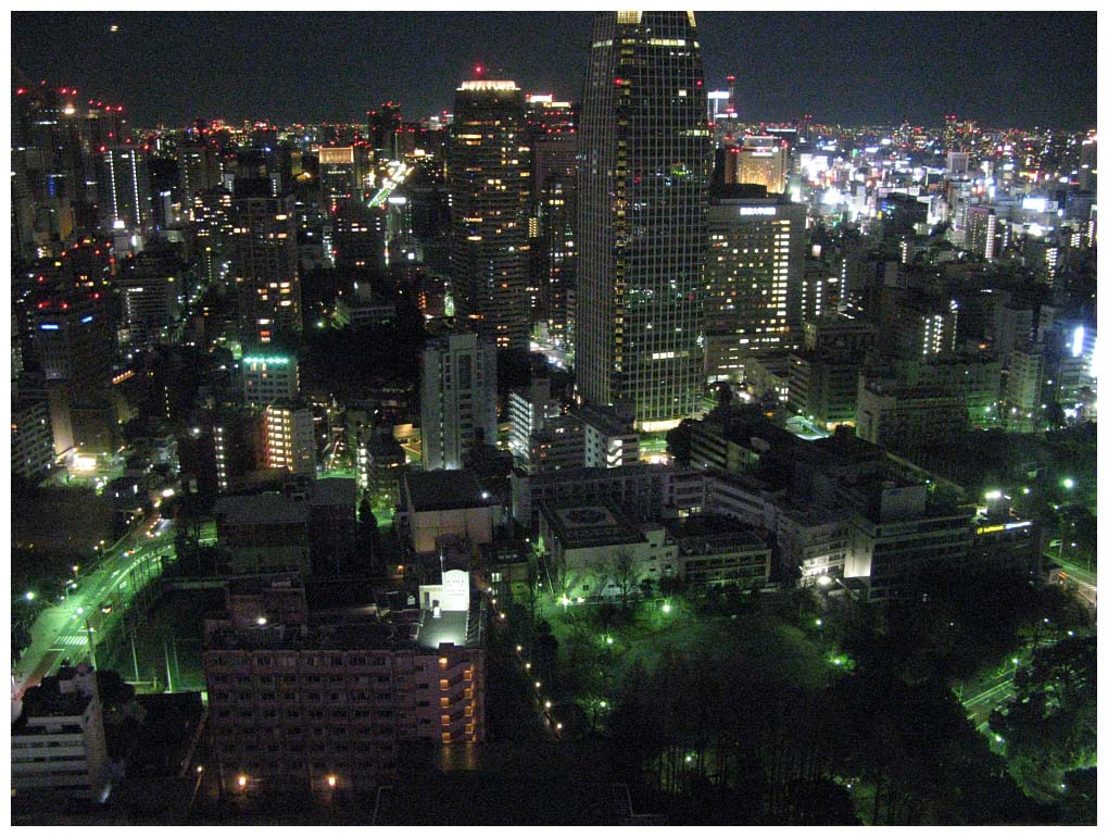 Tokyo, Japan: IMG_1330.jpg