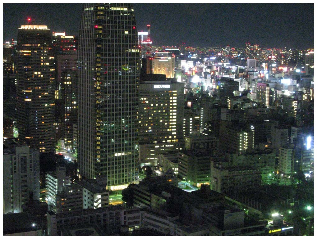 Tokyo, Japan: IMG_1331.jpg