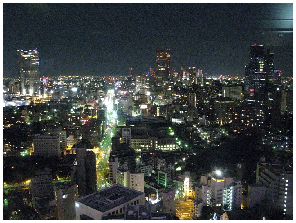 Tokyo, Japan: IMG_1368.jpg