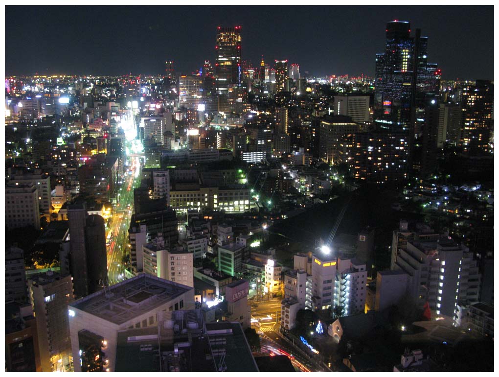 Tokyo, Japan: IMG_1378.jpg