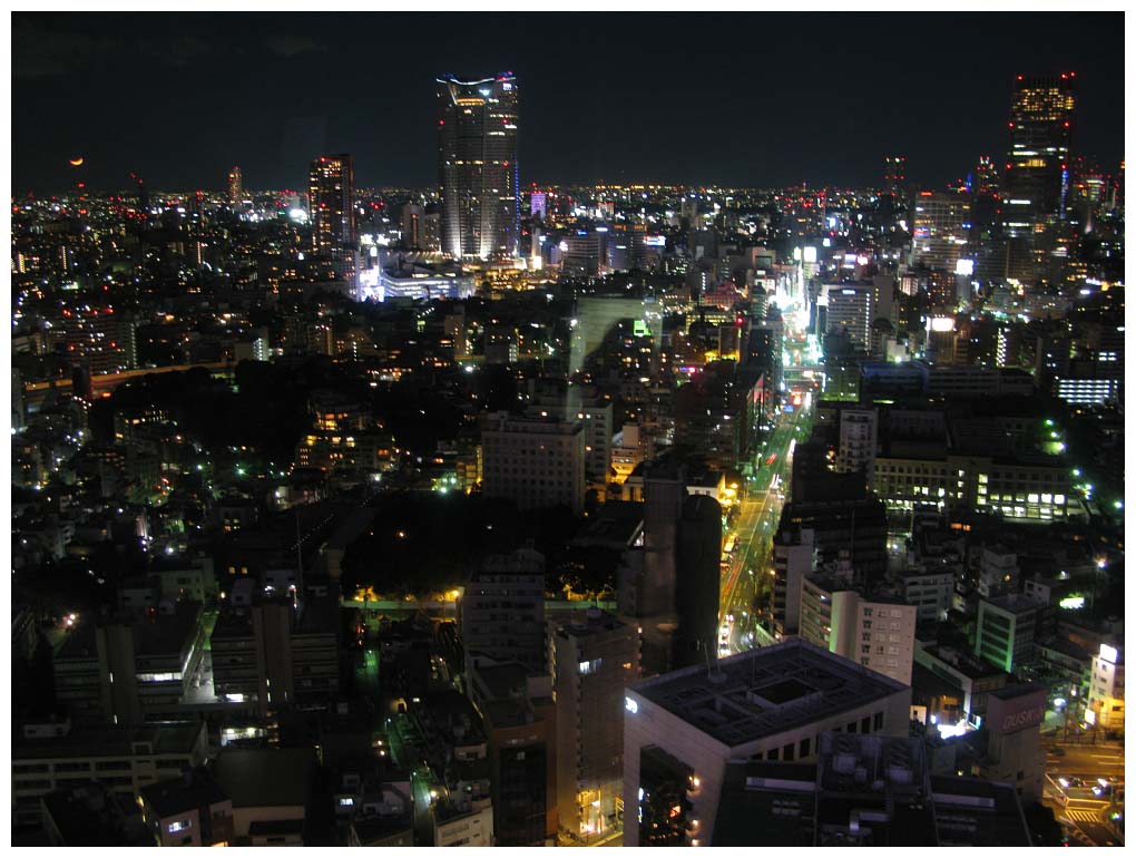 Tokyo, Japan: IMG_1381.jpg