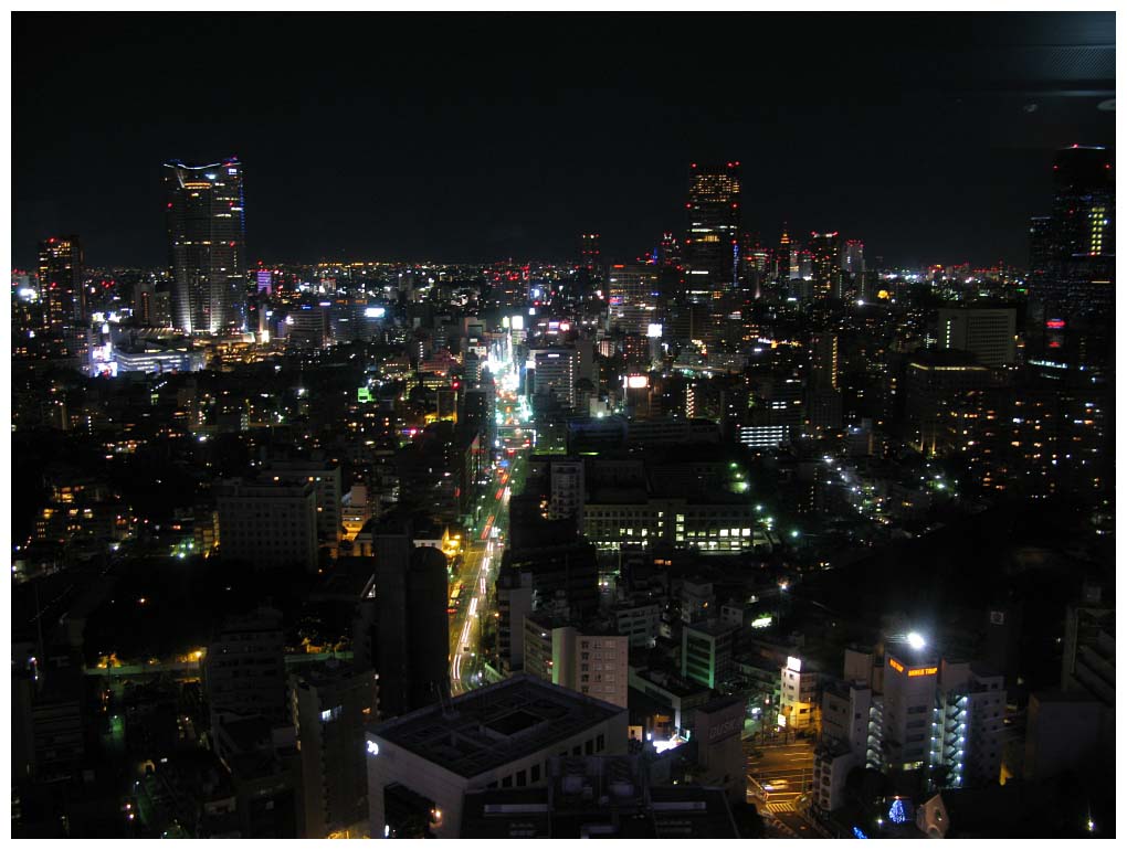Tokyo, Japan: IMG_1385.jpg