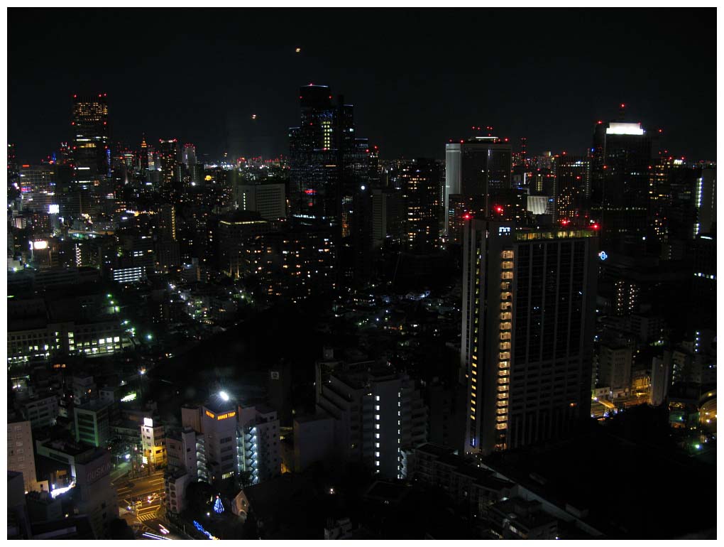Tokyo, Japan: IMG_1386.jpg