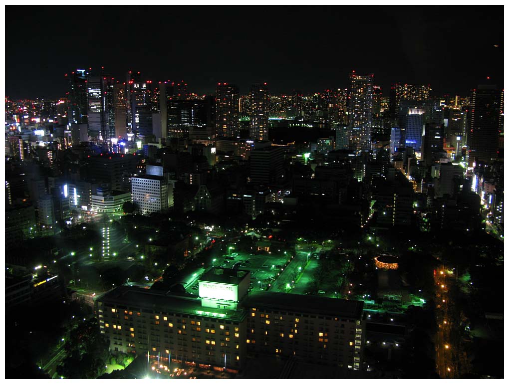 Tokyo, Japan: IMG_1398.jpg