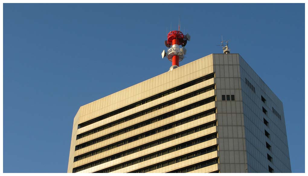 Tokyo, Japan: IMG_1518.jpg