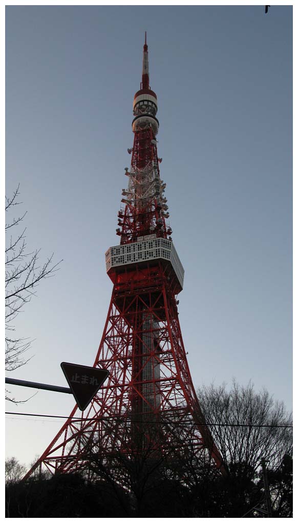 Tokyo, Japan: IMG_1528.jpg