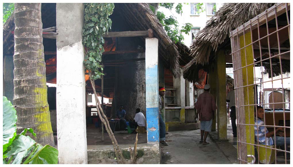 Zanzibar, Tanzinia: IMG_2152.jpg